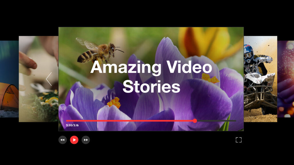 Amazing Video Stories Grid