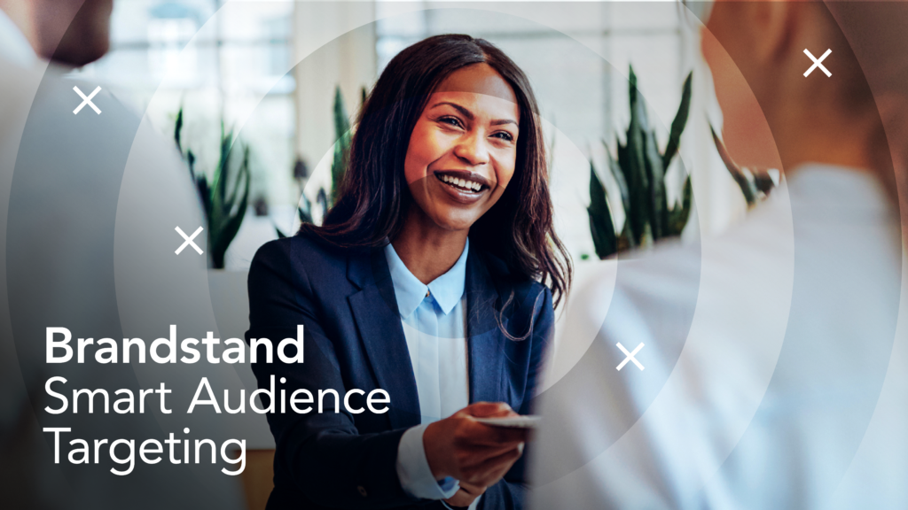 Brandstand Smart Audience Targeting Grid